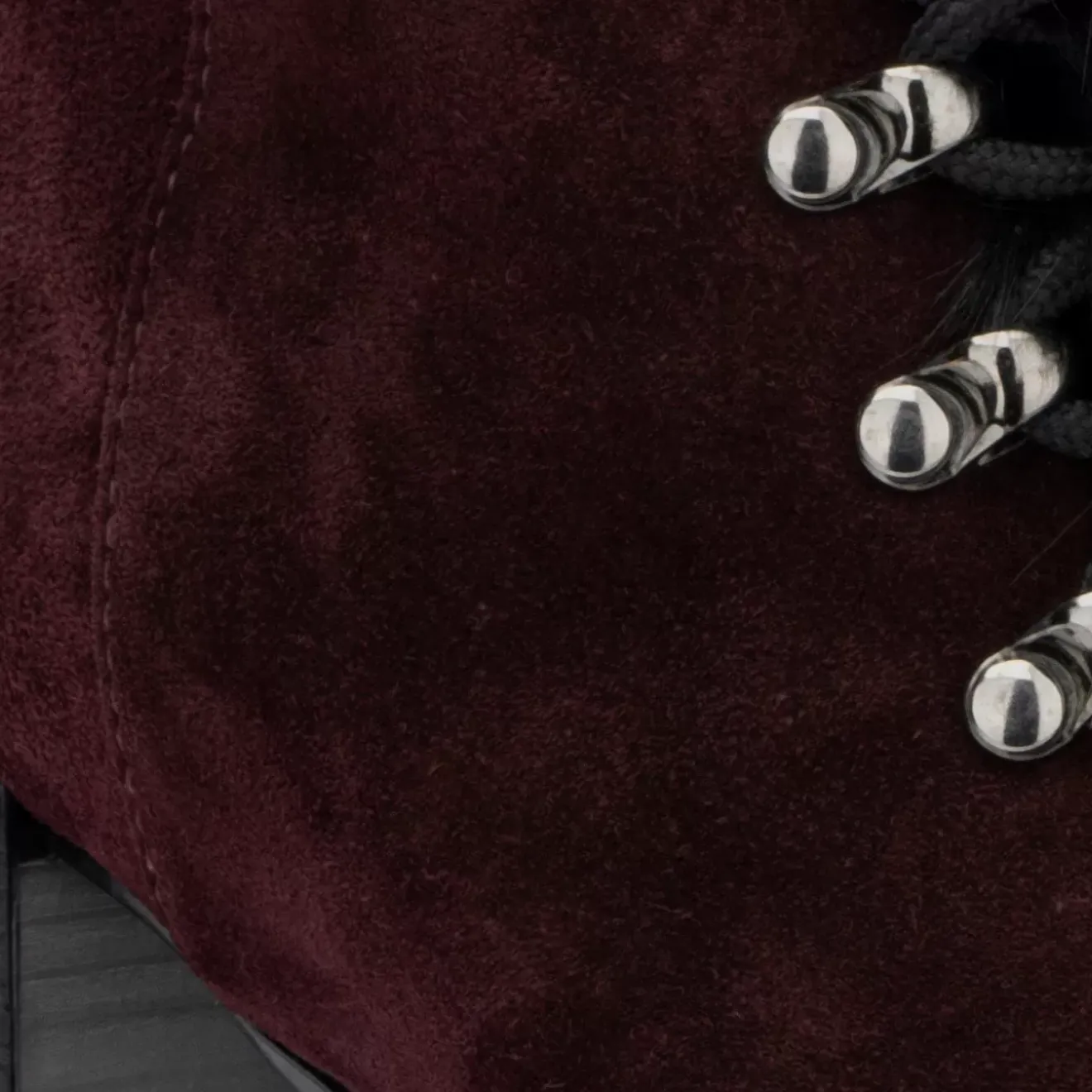 Boots-Aquatalia Irvina Oxblood