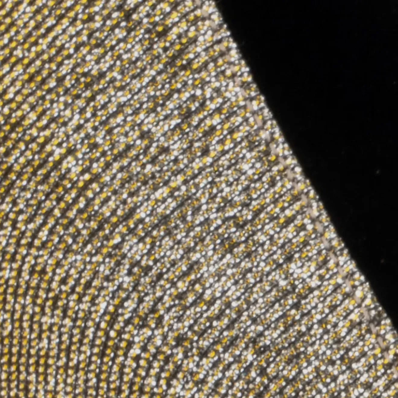 Heels-Aquatalia Melina Silver/Gold