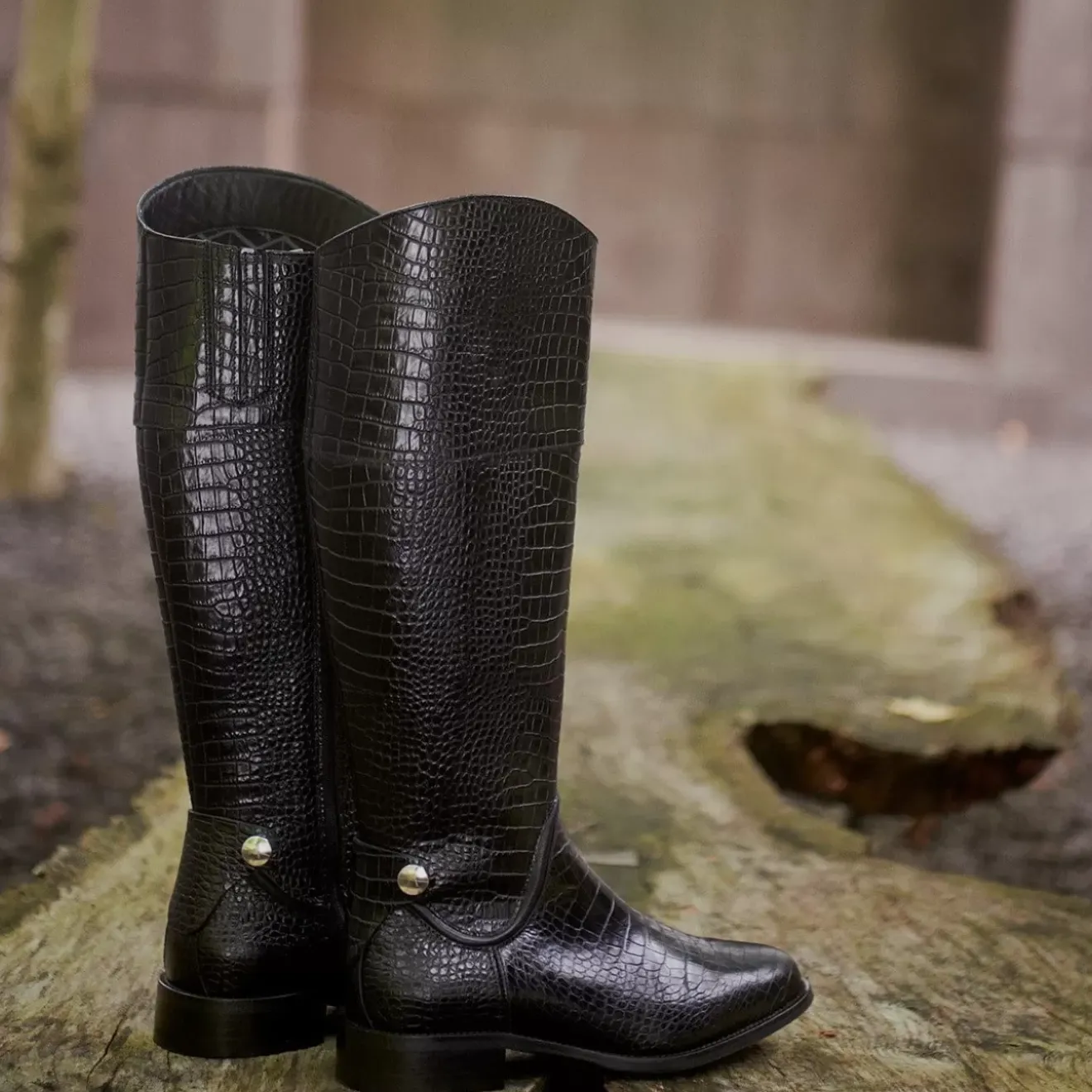 Boots-Aquatalia Nerina Dark Brown